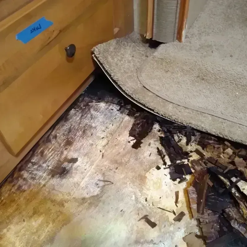 Wood Floor Water Damage in Bellevue, NE